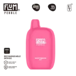 Flum Pebble BerryMelon Icy