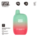 Flum Pebble Aloe Watermelon Splash