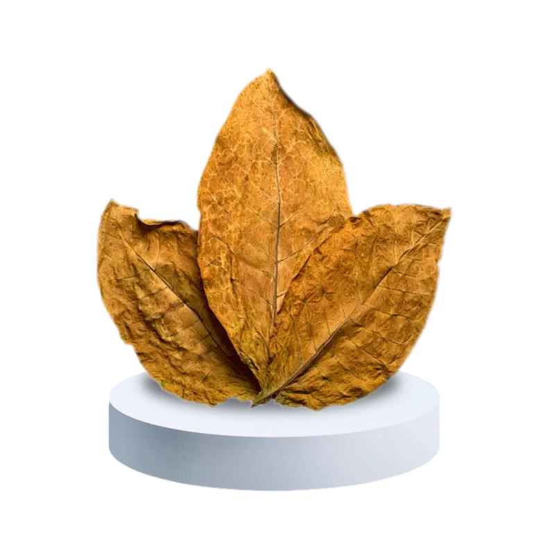 Tobacco Flavor