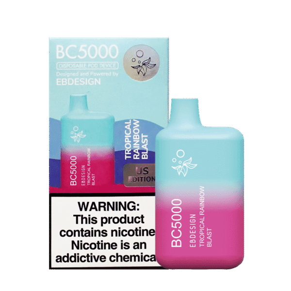 Tropical rainbow fruit vibe 트로피컬 과일과 레인보우 감성이 담긴 BC5000 이미지.