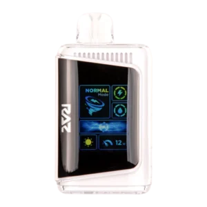 RAZ New York Mint 25000 puff disposable vape (50mg) 5% salt nicotine